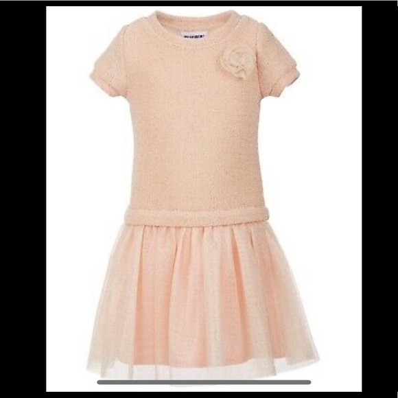 Girl’s Shimmer Dress Size 6x - Picture 1 of 6